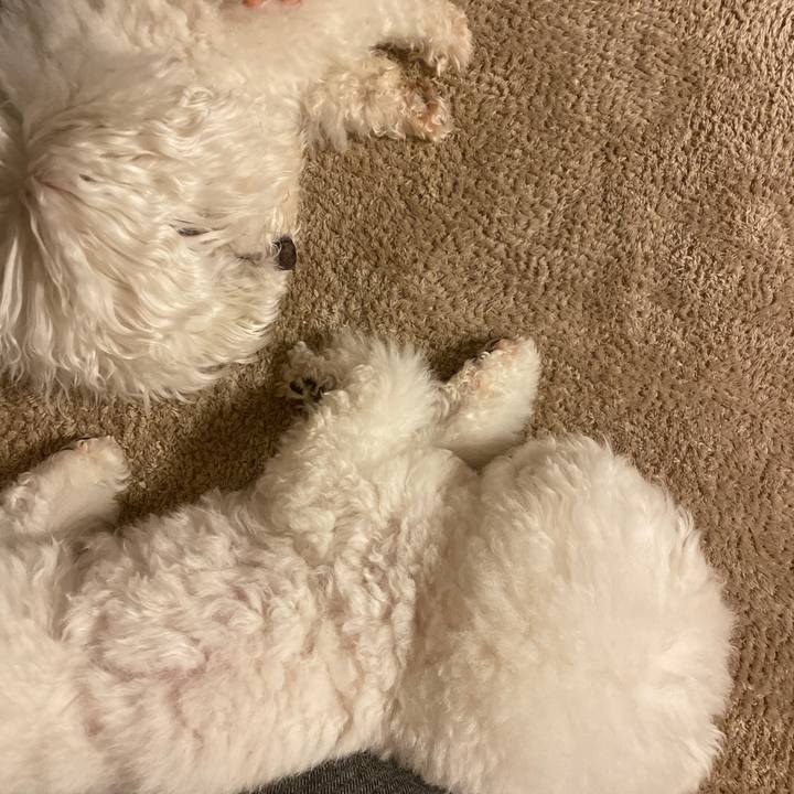 0b8a7ac2 f060 4923 8d54 6444c968eaf7 1609062559375