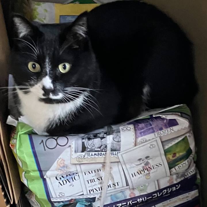 0b8a7bc8 35c8 4fa0 978f 7520643cd1a0 1683862538577