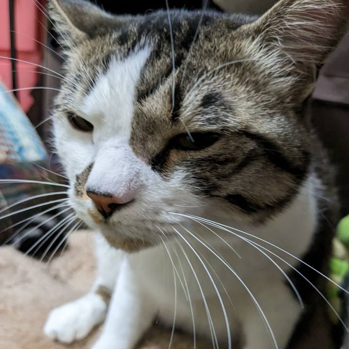 0b8aa10a d56a 47a9 85ee 1df8edbb45ab 1679553499277