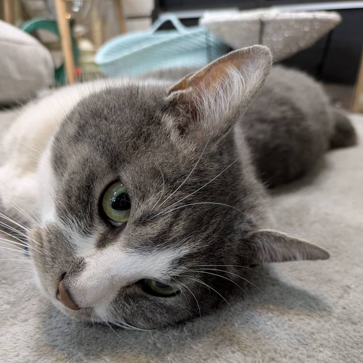 0b8aaf9b 0163 4caf ba17 236f12be197c 1749596690438