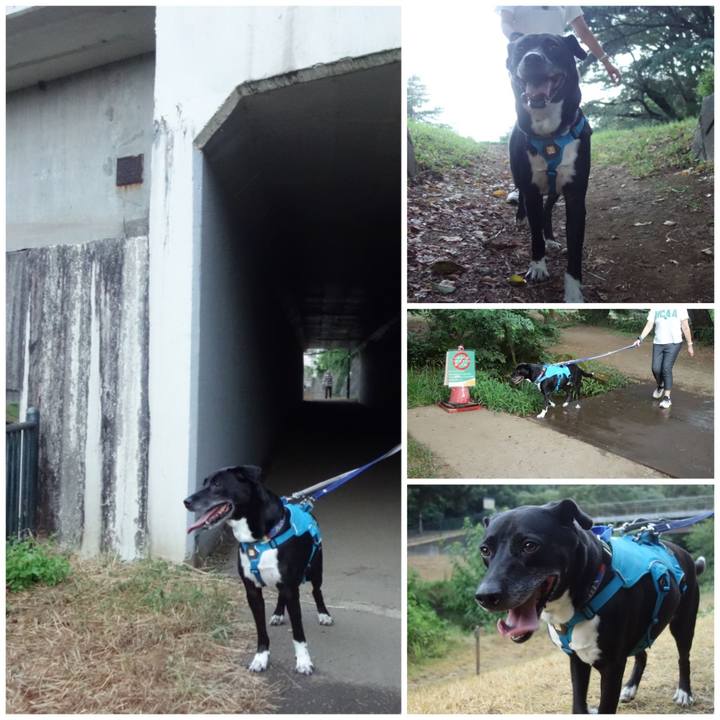 0b8abc83 8e06 4667 aedb e55ba089bd75 1691320046499