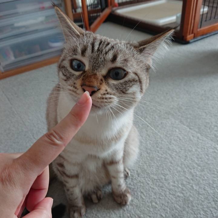 0b8b7eae b6f1 40af b1b5 6a43b3e04973 1535423017643