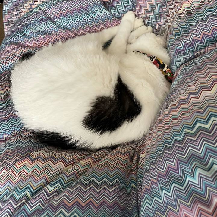 0b8bc70e f3c7 49cb 8ba1 6b911376d2a3 1636246292945