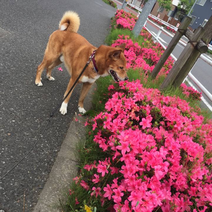 0b8bd02c 525f 4708 80a2 98720fe4ea5c 1622693551246