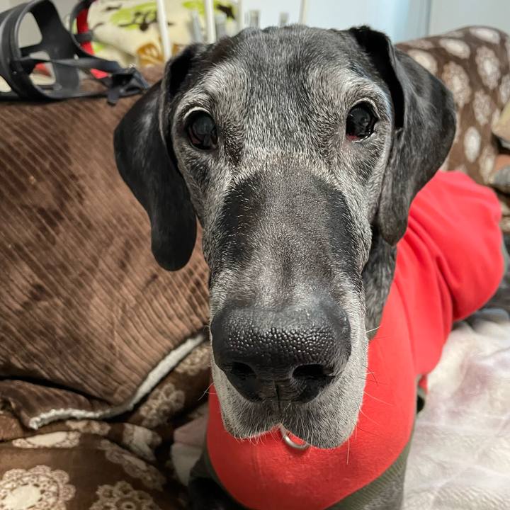 0b8c10b3 42df 4777 9bdd d47c5b76a9aa 1644447274133