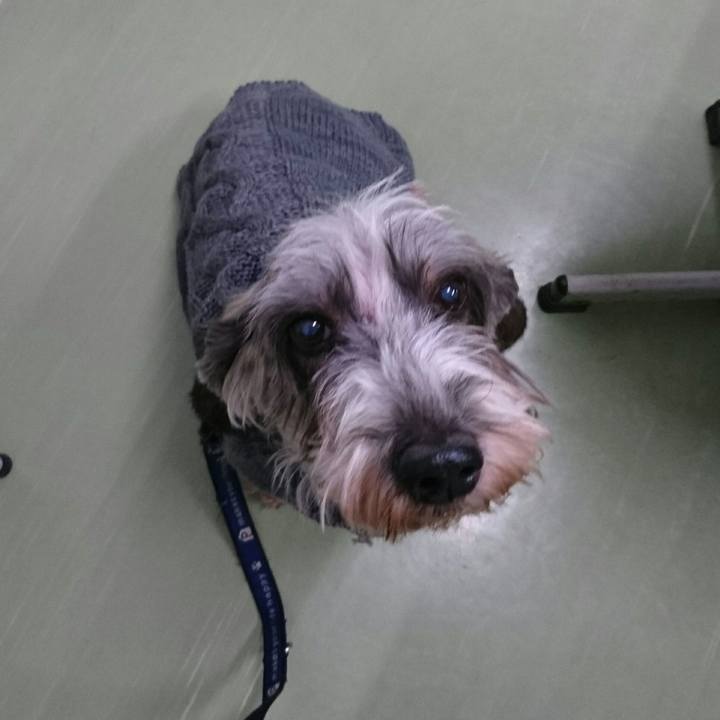 0b8c461f ae60 4a31 986e 2e1d79abae13 1544257739127