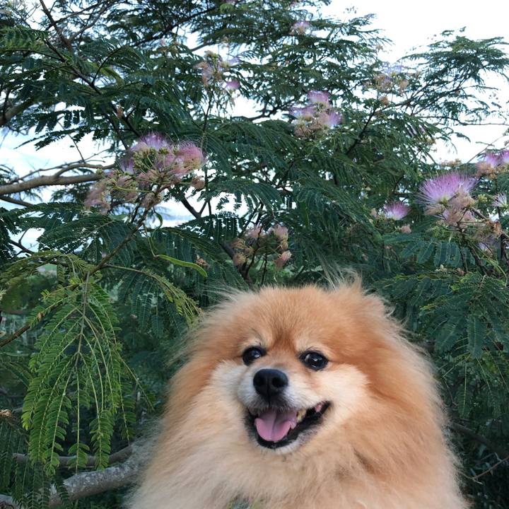 0b8c51f3 3587 466e b9cd 43d4c58bd865 1564206204116