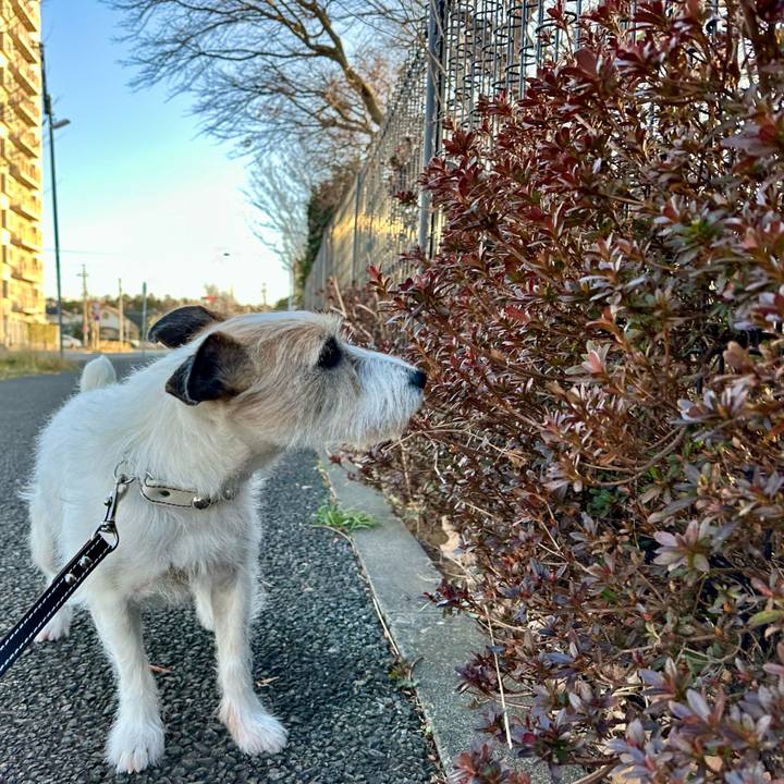 0b8c5e93 3b62 445f b8fb 529e232d7f97 1739317713756