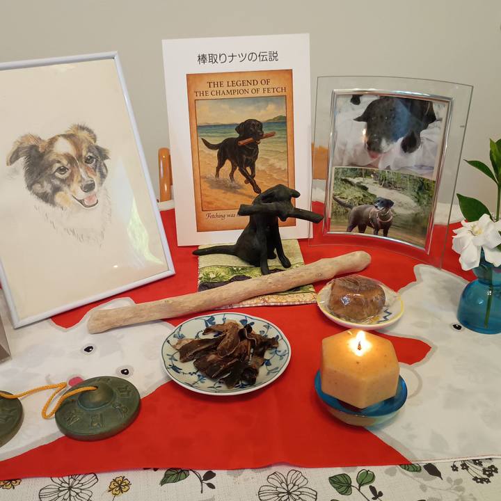 0b8c6311 8716 48e6 9ed9 4c66aed0ed2c 1756985019219