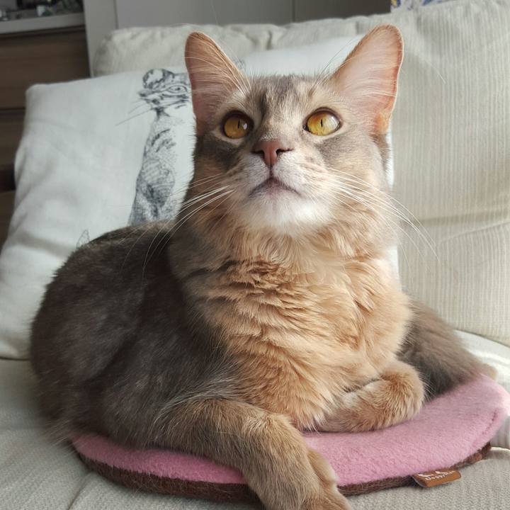 0b8c7e4f 833a 45a6 91cc 9b43ff0a7d81 1517623277758