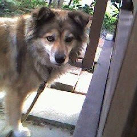 0b8cc392 0c4d 4338 8b49 584d62a8ec3d 1584314746688