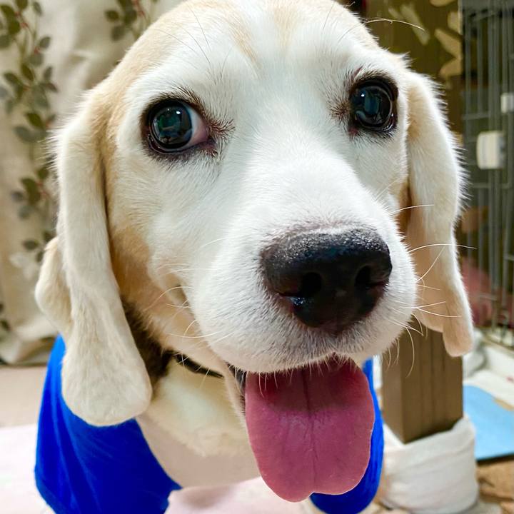 0b8d1222 20bc 48b6 b5e1 b71887cbba80 1660970116584