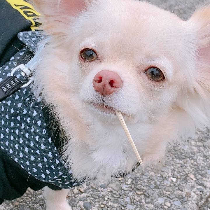 0b8d1b47 2207 44df af2a 6212e07c87a8 1609922944811