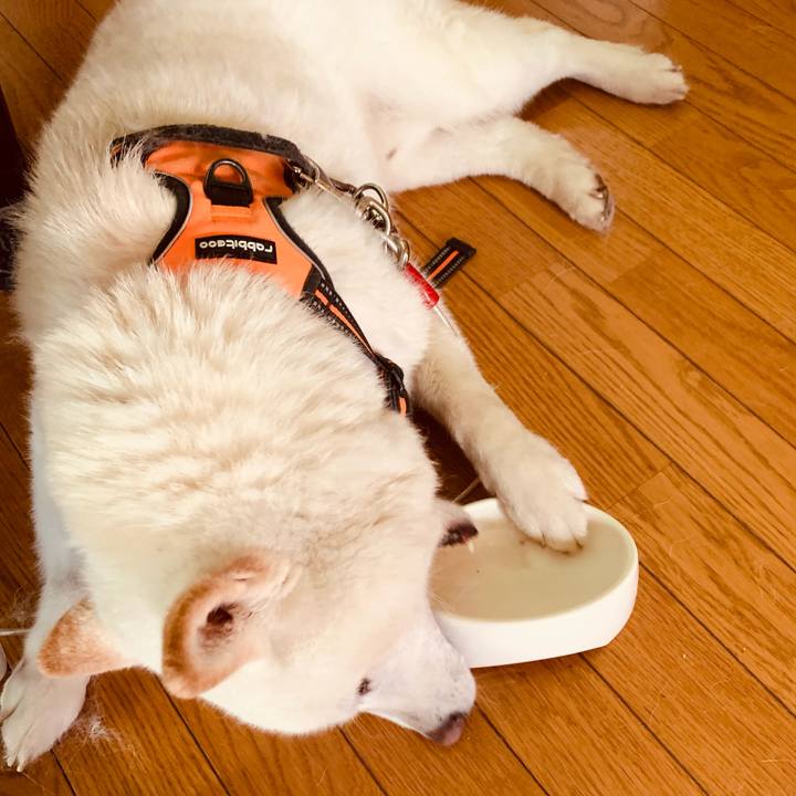 0b8d37e9 6e28 4615 9ba2 e9c295251253 1620700171564