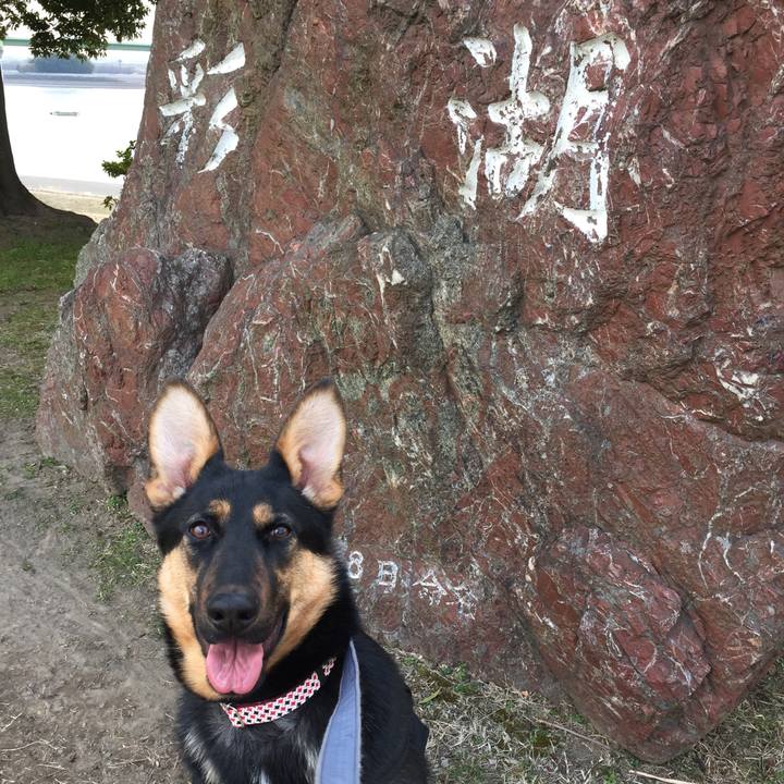 0b8d5d72 9e93 46fe 9e3d bf29f41ebdbc 1519720883785