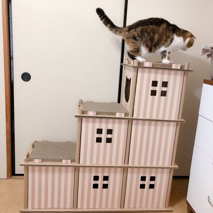 0b8d7e10 b0f8 4685 8309 94b6f62516ed 1575694343398