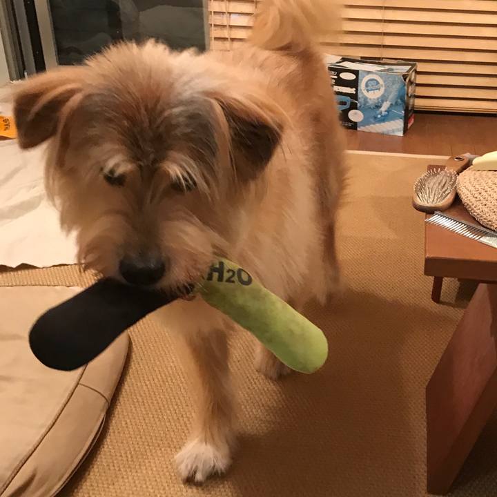 0b8d7ffe 984e 4c55 a227 f4ff84f09a67 1538412773407