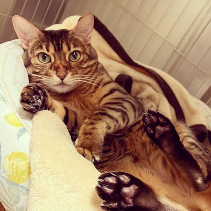 0b8da004 3064 4d65 a299 74da7168f60a 1634912917864