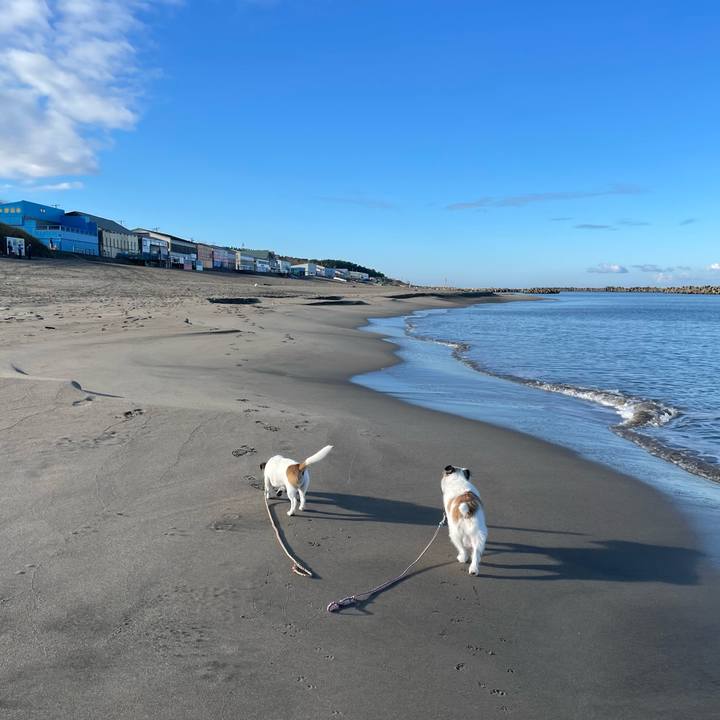 0b8da468 5ef2 4c29 9c66 0013c3987bd1 1636157959012