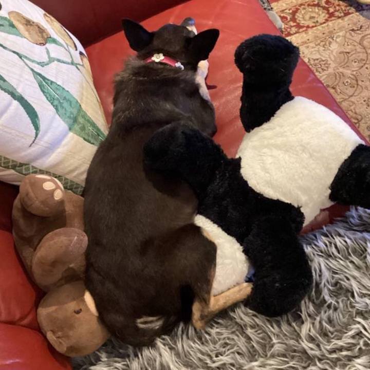 0b8e12a4 238d 4a14 8474 46b1560c78b9 1769184012811