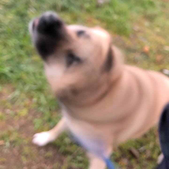 0b8e15f7 ffbb 49f2 beb3 71ba5631e870 1550576833201