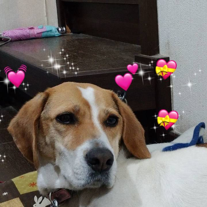 0b8e1834 d728 41fe 8307 f4023e7dddc5 1588076431178