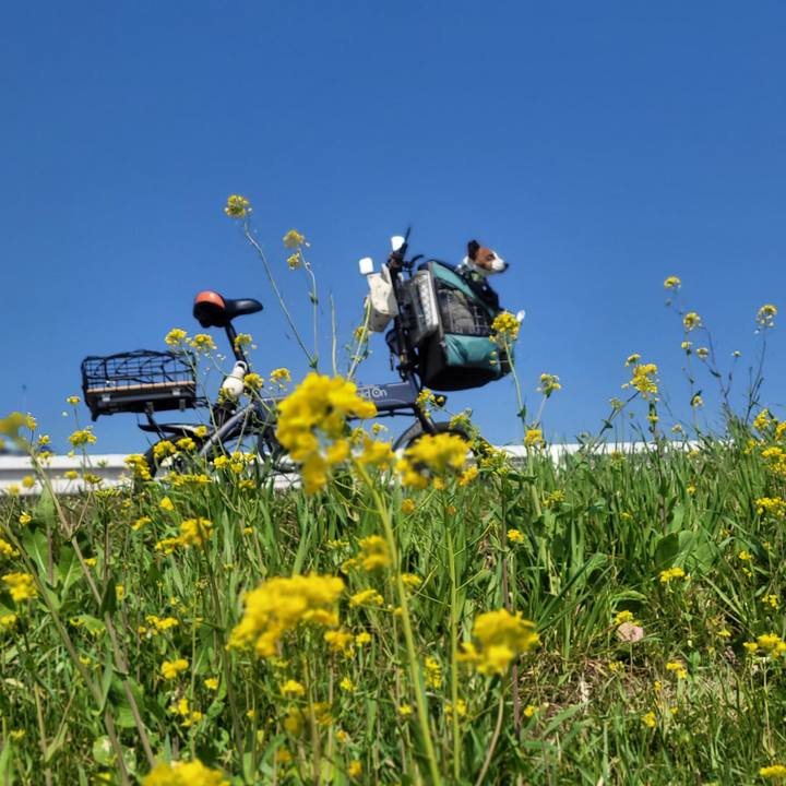 0b8e233a 4eea 4fd0 a295 554ef25842f3 1678266302884