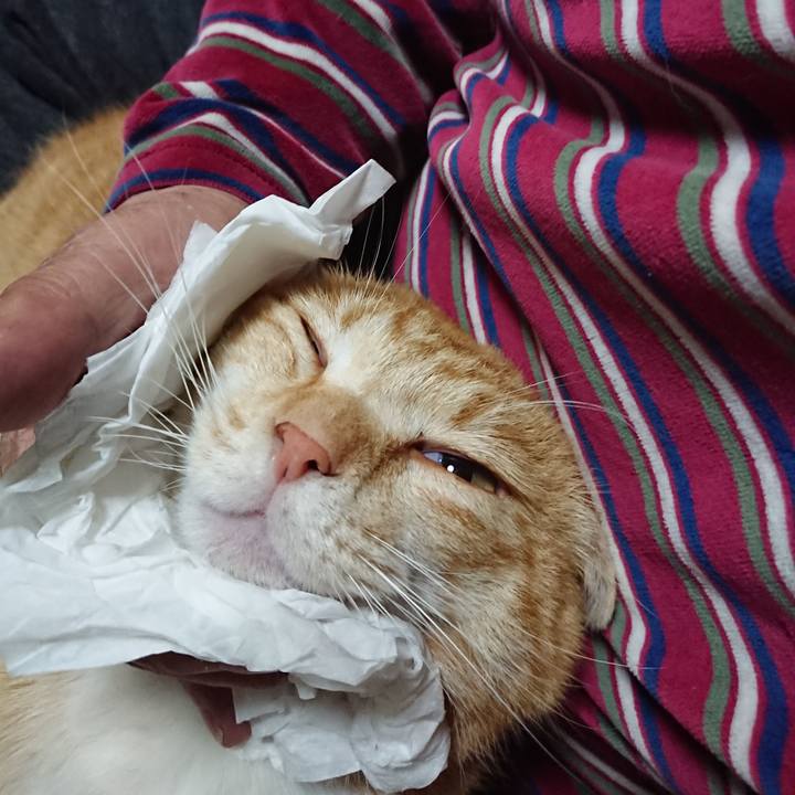 0b8eb847 b644 42e6 a6ee c865321202a1 1585309027087