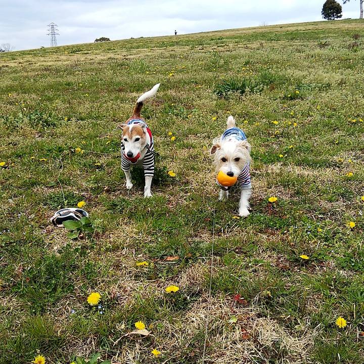 0b8ebabc 0208 46d0 8901 ac75bb39b77a 1553321421206