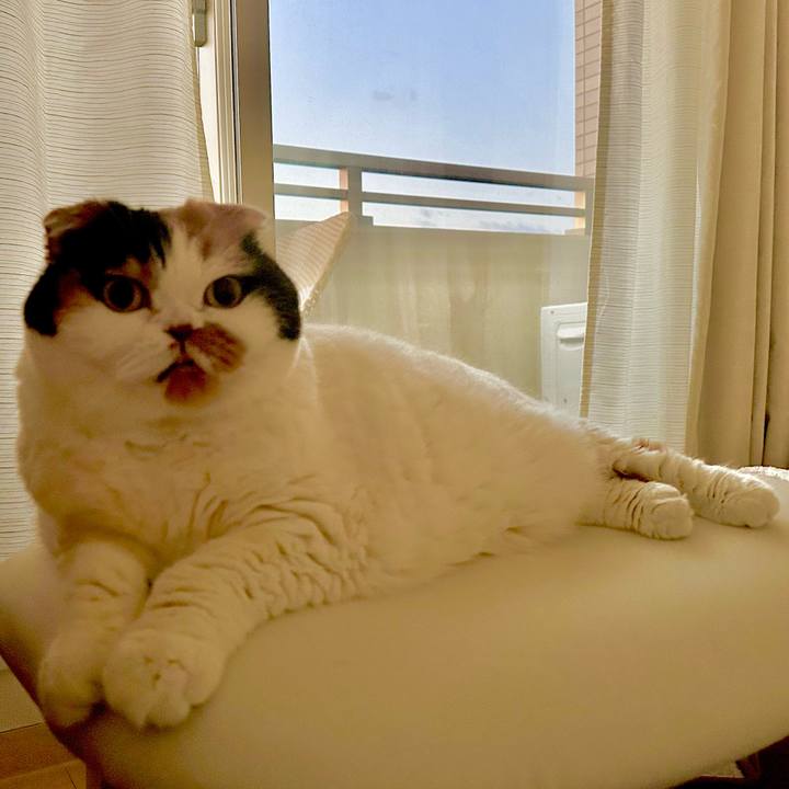 0b8ee7d1 5005 4de9 8201 57eaf9abc3c7 1700515170446