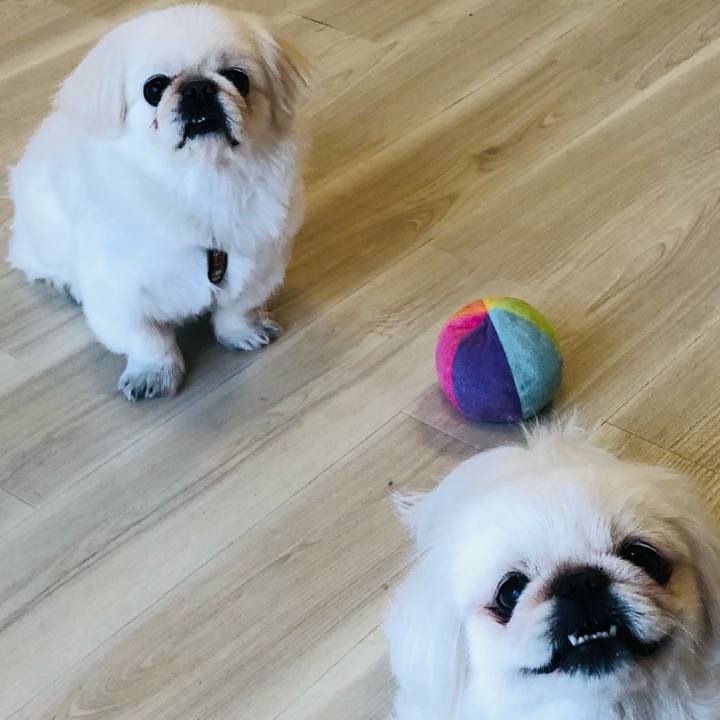 0b8ee903 c4a4 4837 8192 52440391a6c6 1618828891909