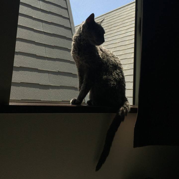 0b8ef5b9 45a7 4c47 abf8 a51f48ed297d 1530486976832