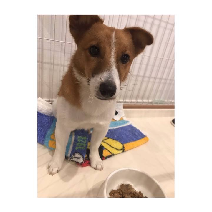 0b8f219b 4602 4f6b 9f84 003e4bba0dd2 1589019651774