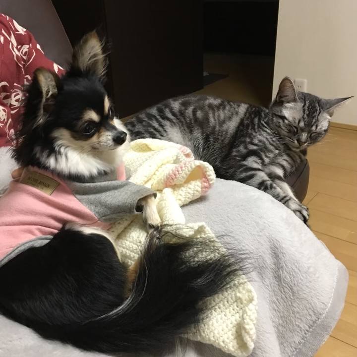 0b8f7081 3470 4145 b4d3 273999d5c729 1765408025544