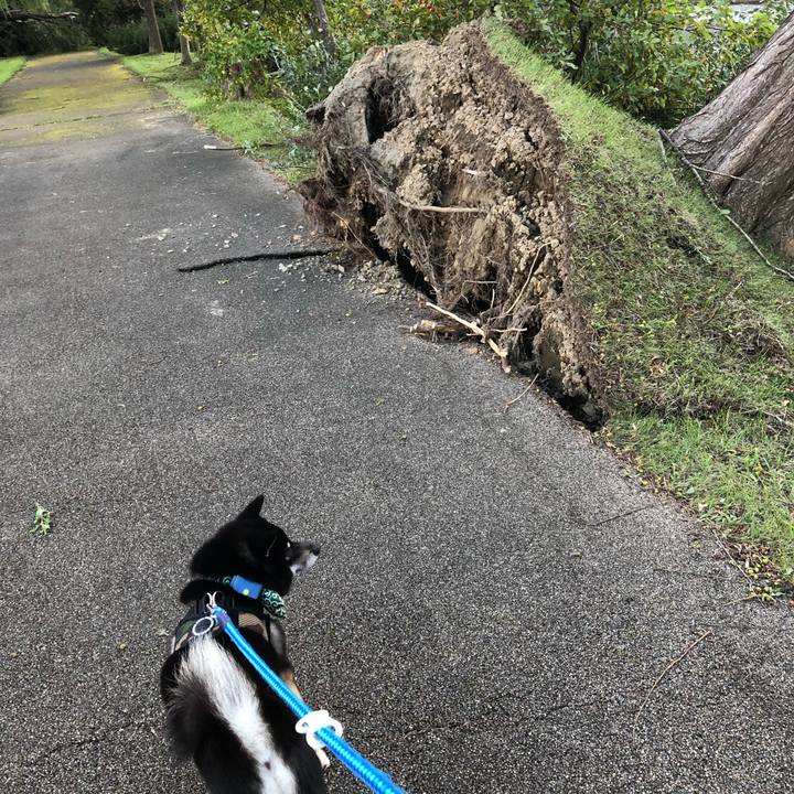 0b8f952e 0cb1 4e38 90c0 0cd5c8944cab 1536140059543