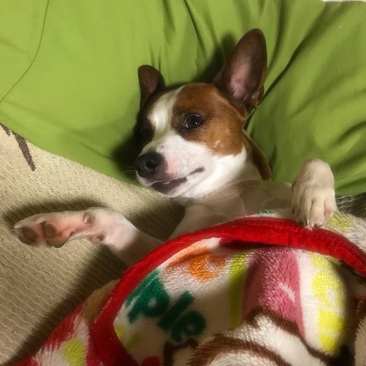 0b8fb985 82fe 44ae b394 7b2d8d705c59 1516214575214