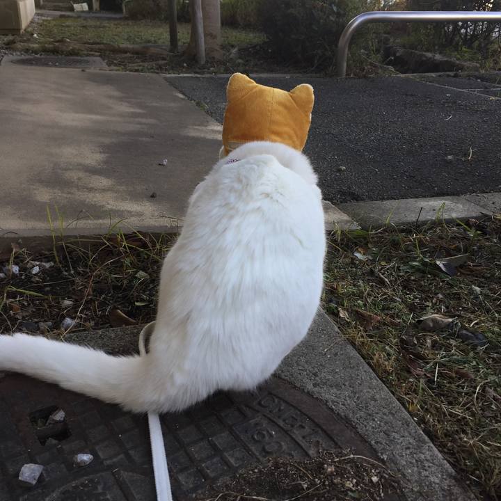 0b8fba8b 58ab 4d77 a9a4 6160fa343ae1 1511613625447