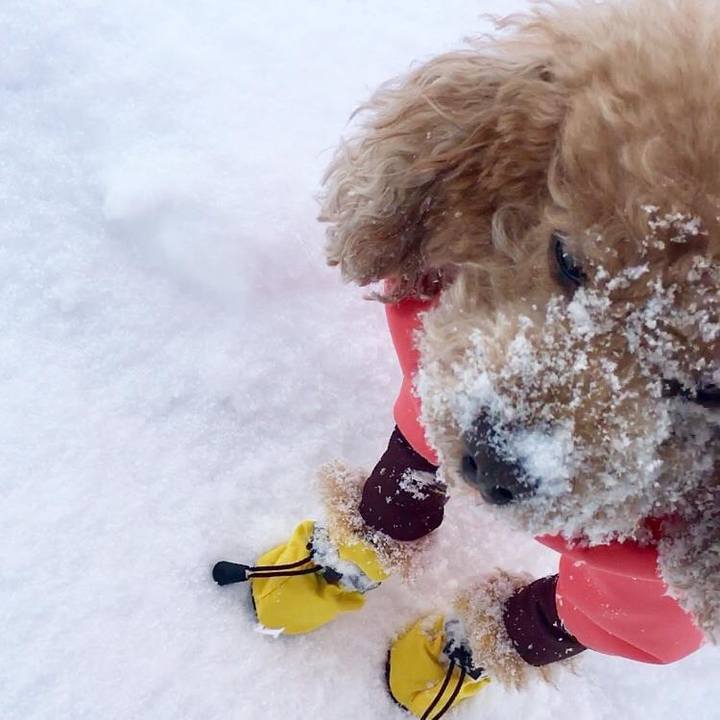 0b8feddb e49f 4296 86a8 0cf4888b686c 1614483943581