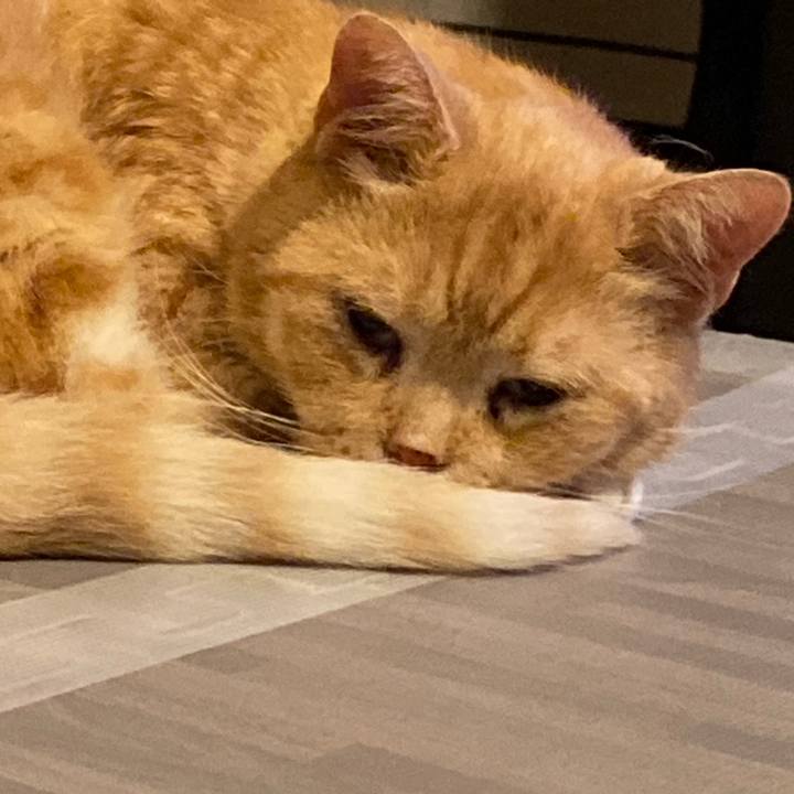 0b9002fb 152c 4900 9ab3 59b3a10d1871 1625748482188