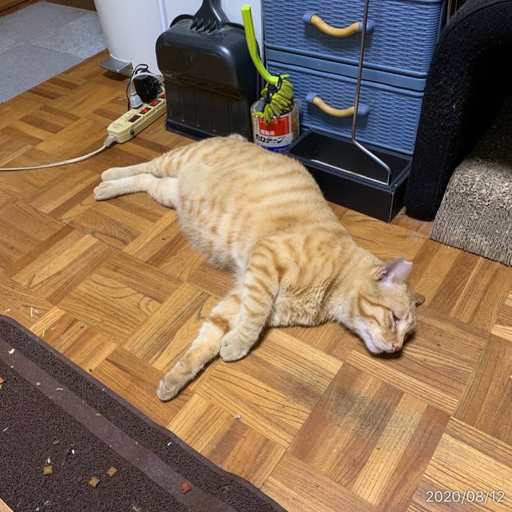 0b900bd9 07c2 4435 a298 27ed5226a424 1597237934050