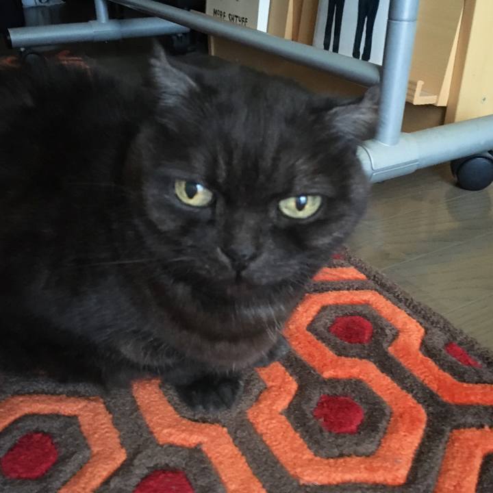 0b901d7f 39e3 441e b863 5bb15c1286cf 1582515214278