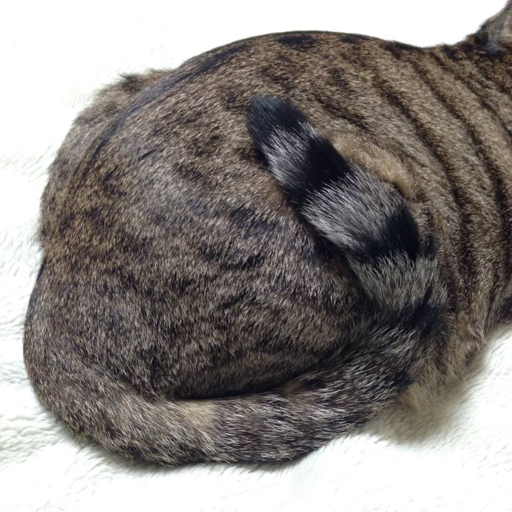 0b904fc0 7635 4f6e b0c7 9e1aa27df2f9 1508813968998