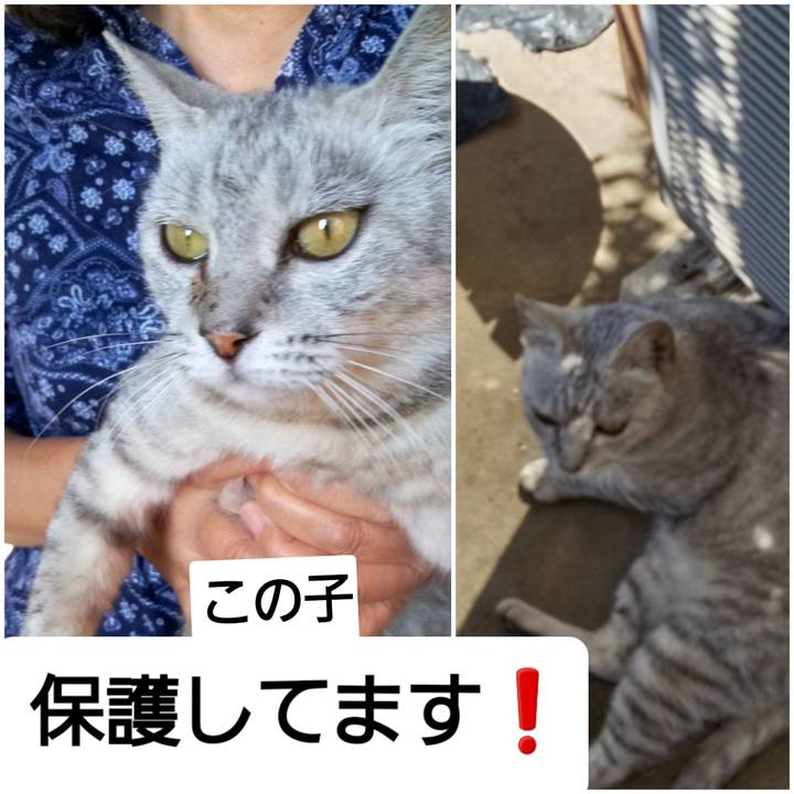 0b9057e2 0947 4214 9aa4 ad3f9fdabd86 1618991662731