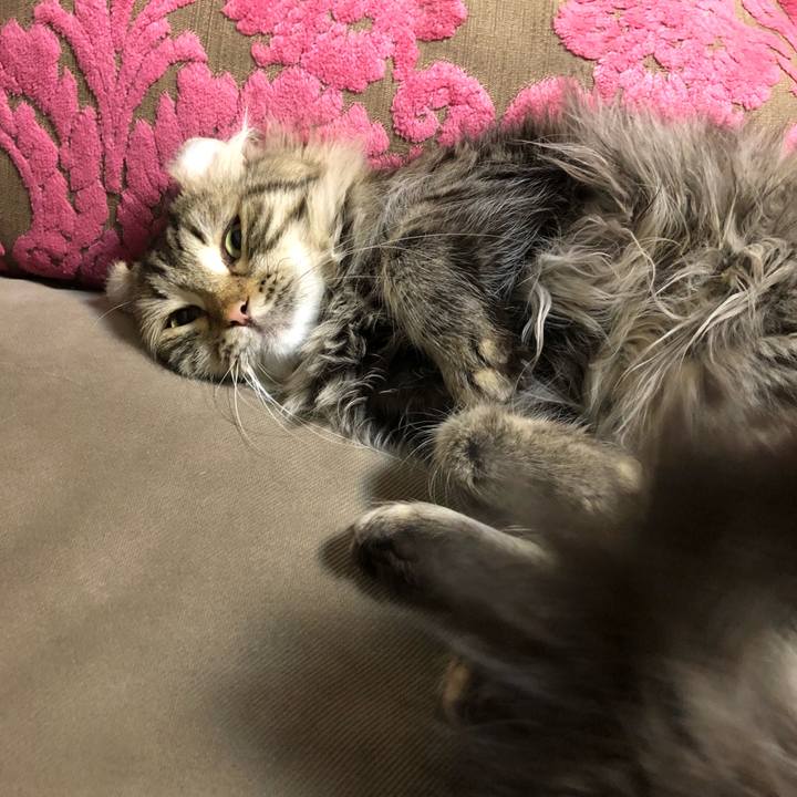 0b905acc af3c 4d09 8d07 734195fd6e0e 1528899599475