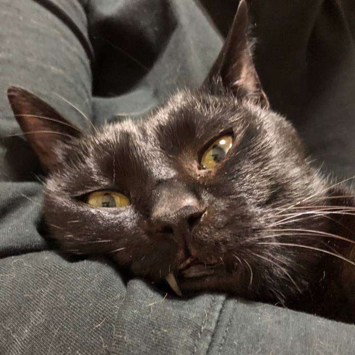 0b90a59f f801 4e7d b162 4bd1d1e5f643 1673254116681