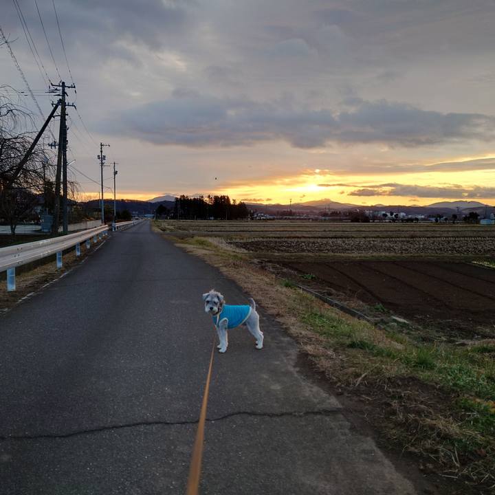 0b90afb7 1f19 4730 a8b9 05f9b90dd6b5 1765841300352