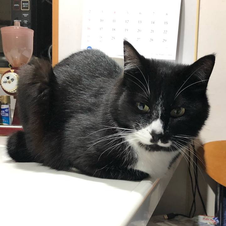 0b90ba28 3f3e 4c1e 81ae 9f182e10c754 1623382165403