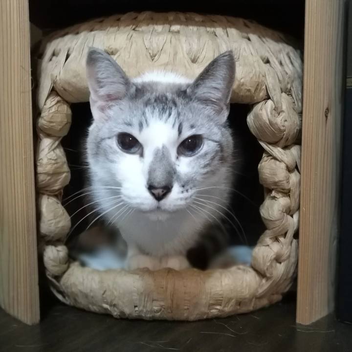 0b90ced9 b829 4fbe 8459 01369c85c814 1551739237517