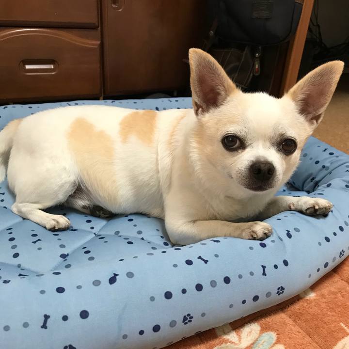 0b90f772 6e0a 4754 a8cc 1ab8acabe22a 1531480340859