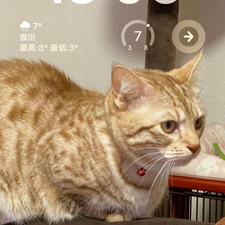 0b912070 fcf4 4ff6 9bc6 eac57162c837 1676268452117